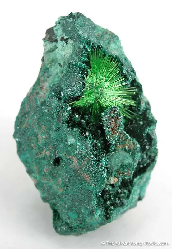 Cuprosklodowskite image