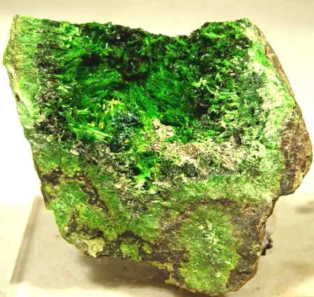 Cuprosklodowskite image