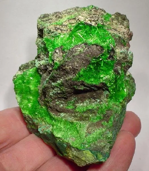 Cuprosklodowskite image