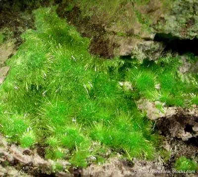 Cuprosklodowskite image