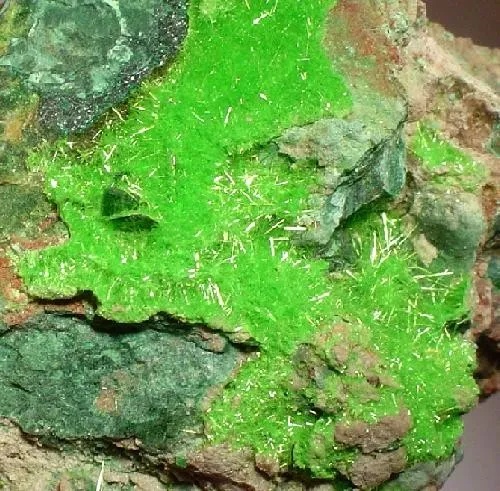 Cuprosklodowskite - image 2