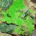 Cuprosklodowskite - image 2