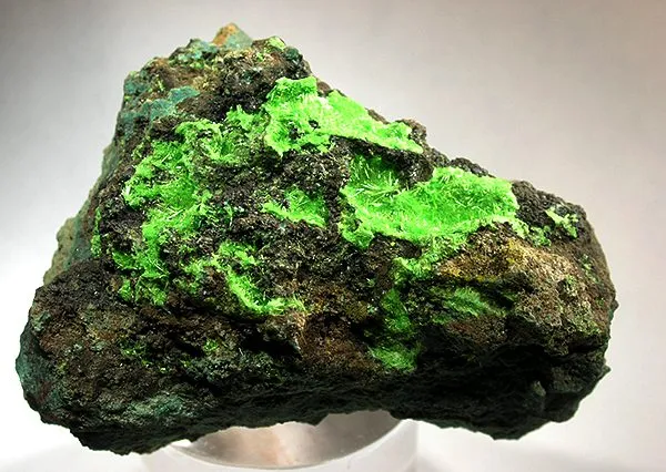 Cuprosklodowskite image