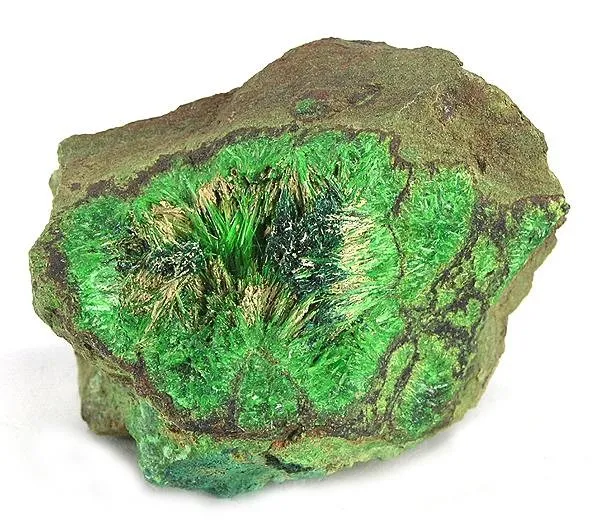 Cuprosklodowskite image