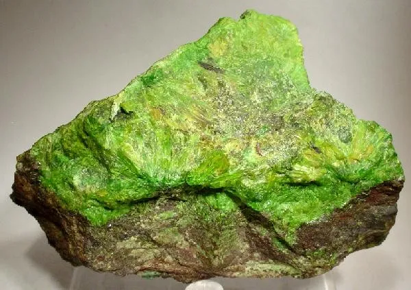 Cuprosklodowskite image