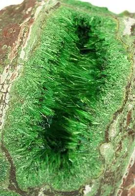 Cuprosklodowskite - image 2