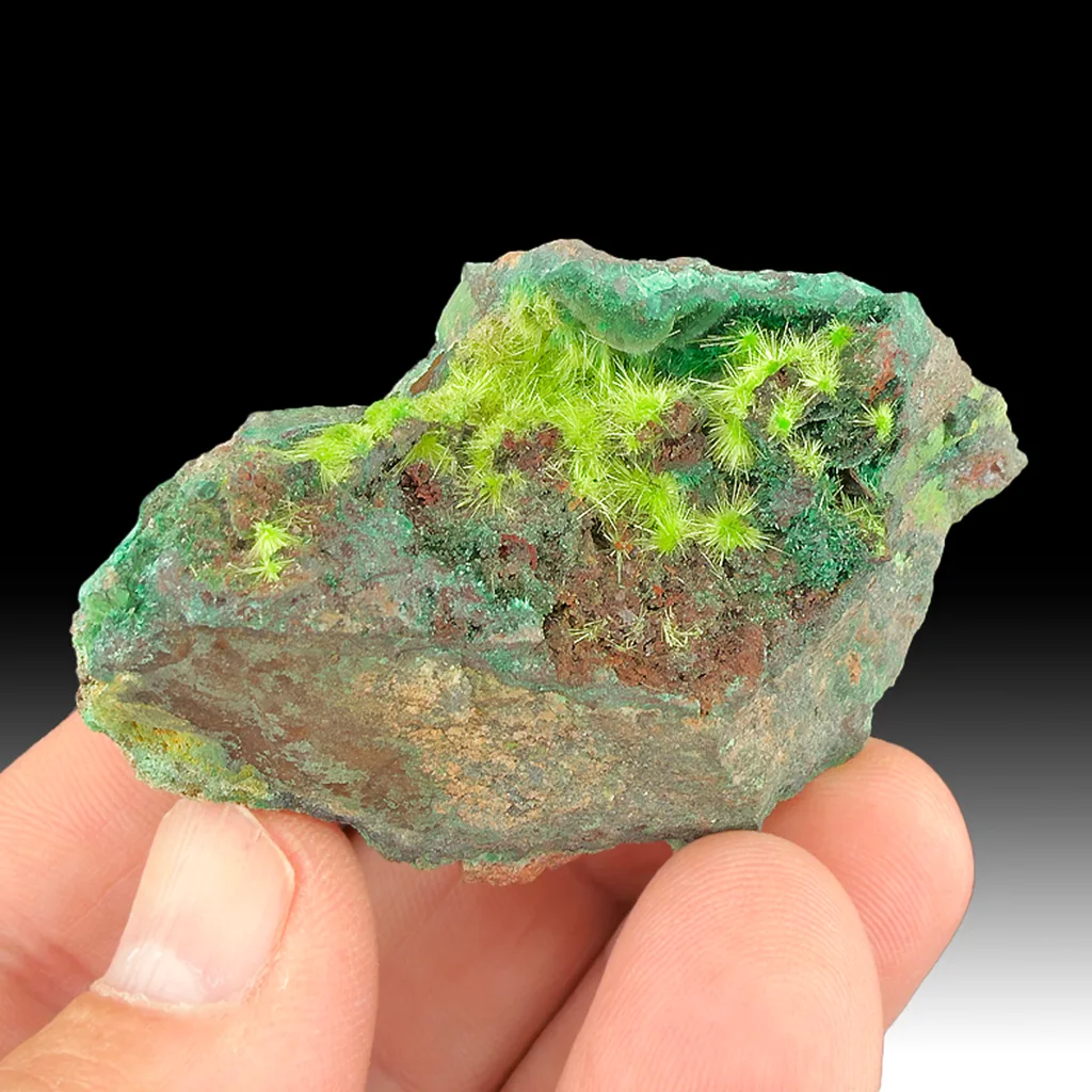 Cuprosklodowskite from Musonoi Mine, Kolwezi, Mutshatsha, Lualaba, DR Congo image