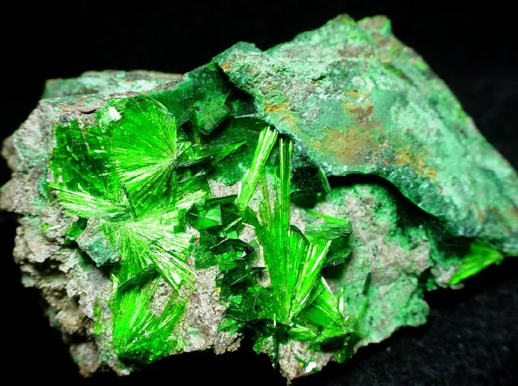 Cuprosklodowskite, Metatorbernite - image 1