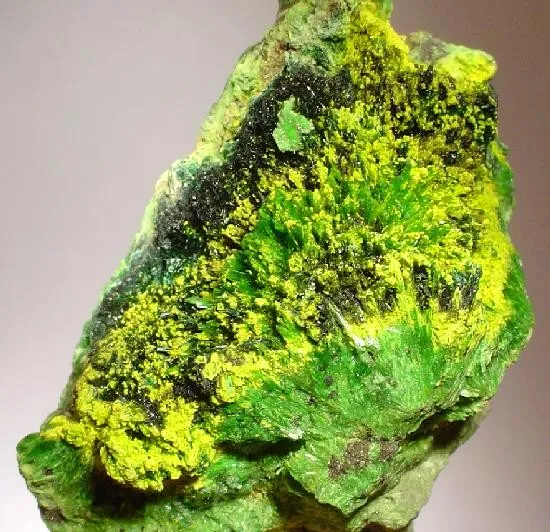 Cuprosklodowskite, Schoepite, Brochantite image