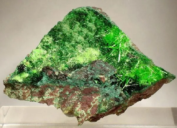 Cuprosklodowskite, Torbernite image