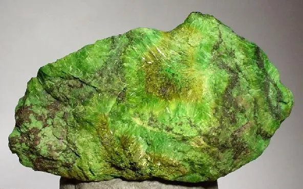 Cuprosklodowskite, Uranophane image