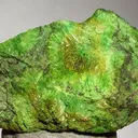 Cuprosklodowskite, Uranophane - image 1