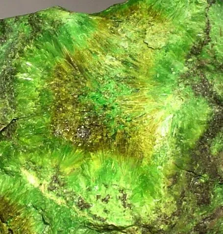 Cuprosklodowskite, Uranophane - image 2