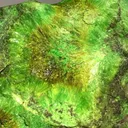 Cuprosklodowskite, Uranophane - image 2