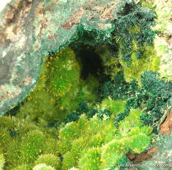 Cuprosklodowskite With Guilleminite - image 3