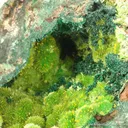 Cuprosklodowskite With Guilleminite - image 3