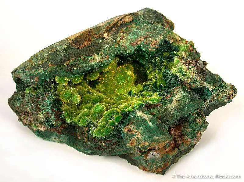 Cuprosklodowskite With Guilleminite image