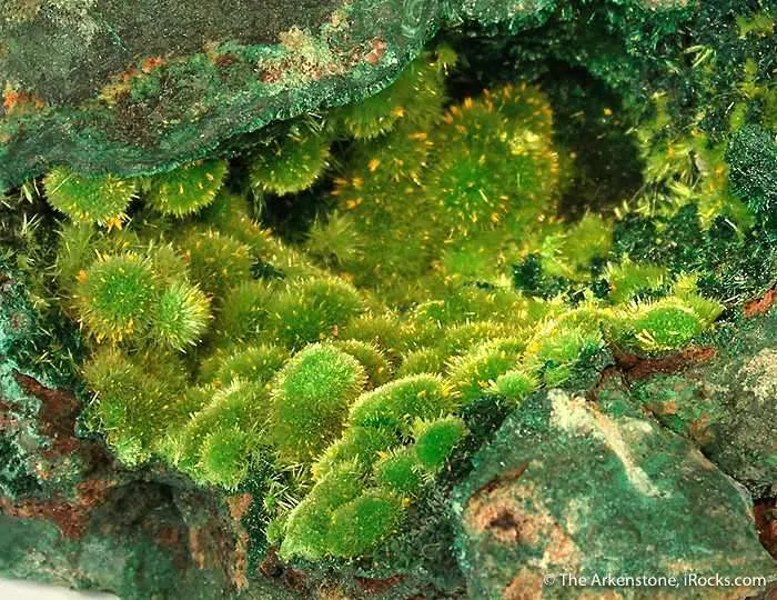 Cuprosklodowskite With Guilleminite - image 2