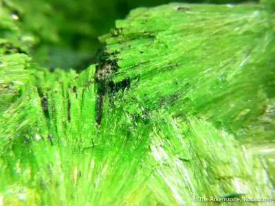 Cuprosklodowskite With Malachite image