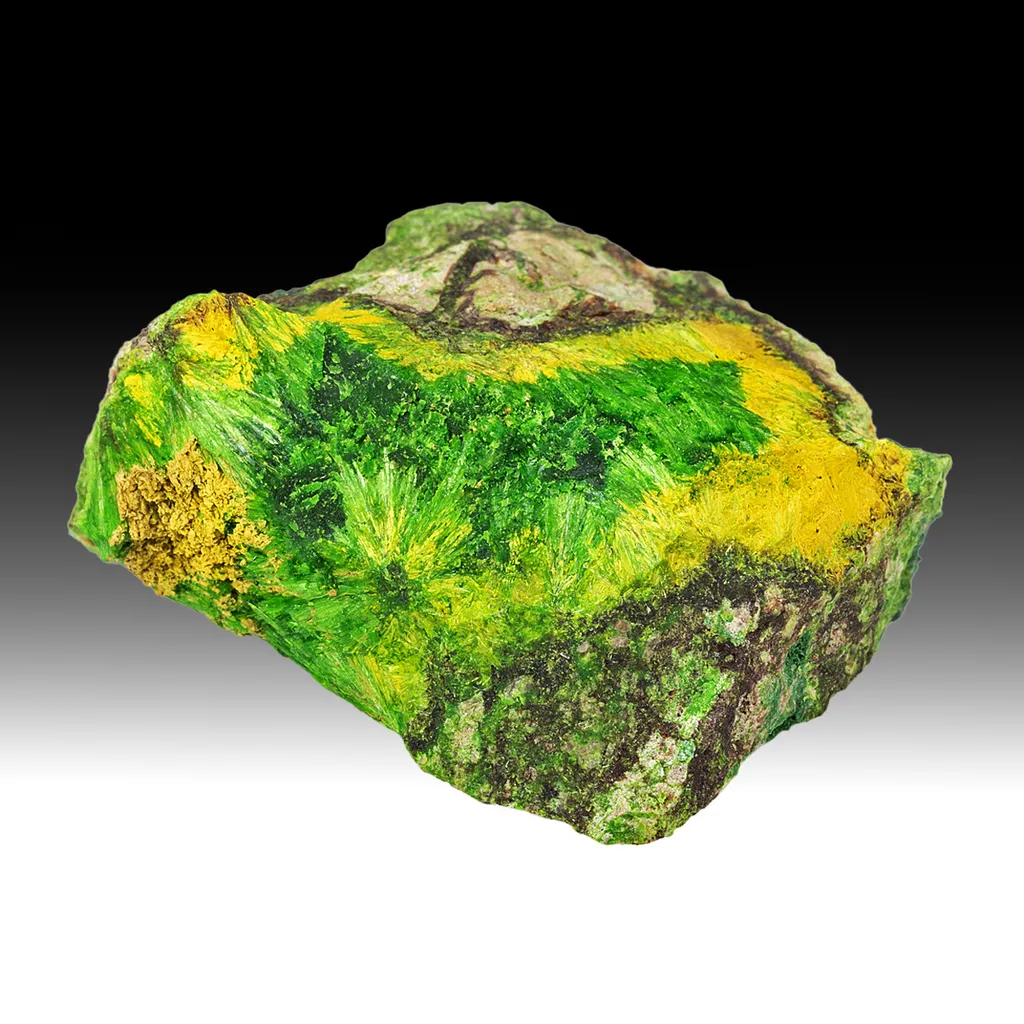 Cuprosklodowskite with Soddyite, Rutherfordine image