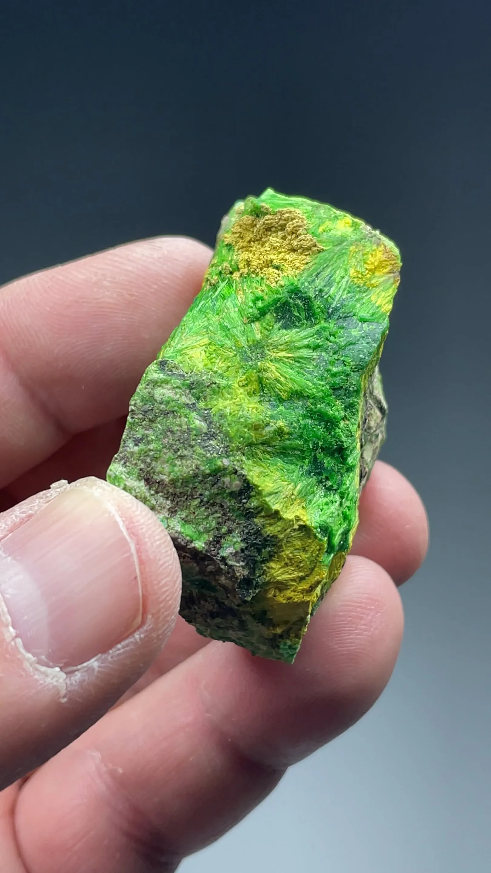 Cuprosklodowskite with Soddyite, Rutherfordine - image 2