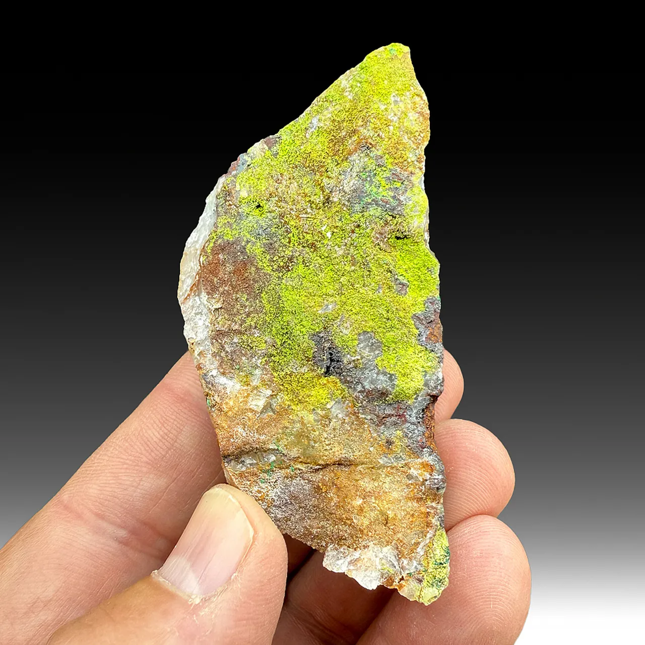 Cuprotungstite with Goethite, Quartz - image 1