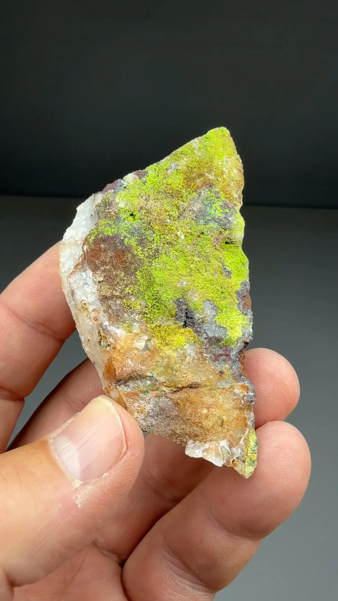 Cuprotungstite with Goethite, Quartz - image 2