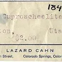 Cuprotungstite Xls on Scheelite - image 4