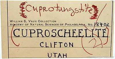 Cuprotungstite Xls on Scheelite - image 3