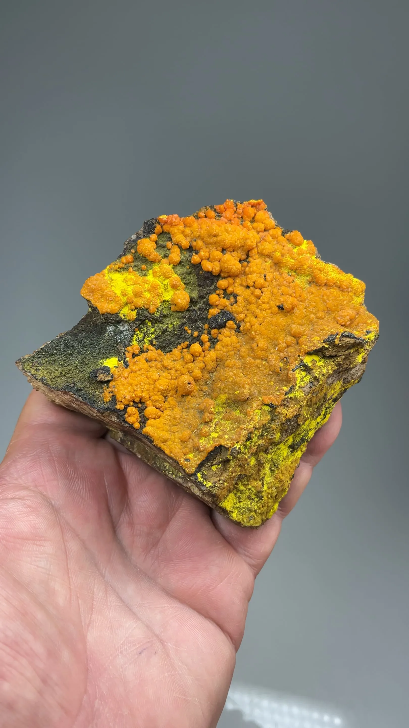 Curienite with Carnotite, Mounanaite - image 2