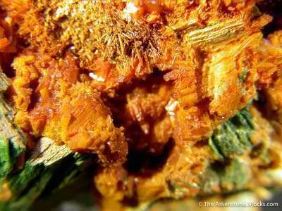 Curite And Kasolite on Metatorbernite image