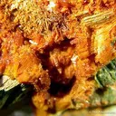 Curite And Kasolite on Metatorbernite - image 1