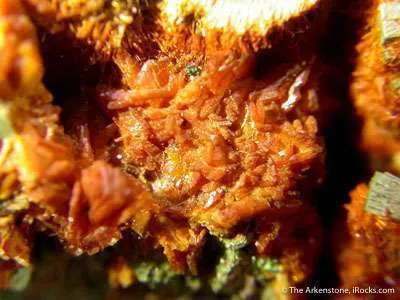 Curite And Kasolite on Metatorbernite - image 2