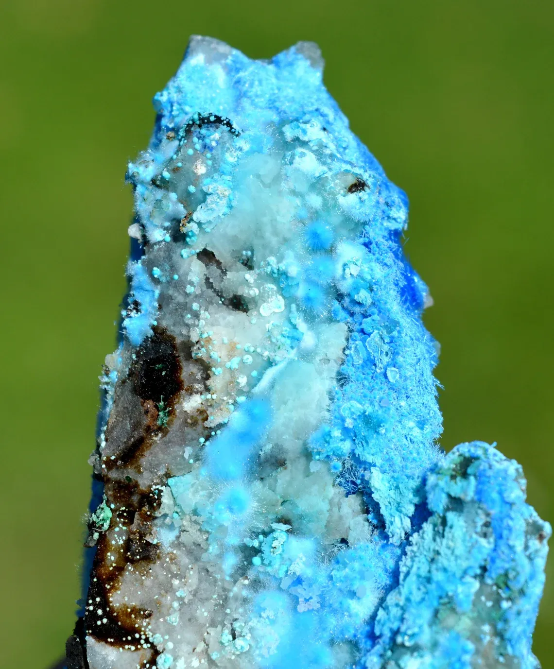 Cyanotrichite - 104 grams - Qinglong Mine, Dachang Sb ore field, Qinglong County, Guizhou, China - image 3