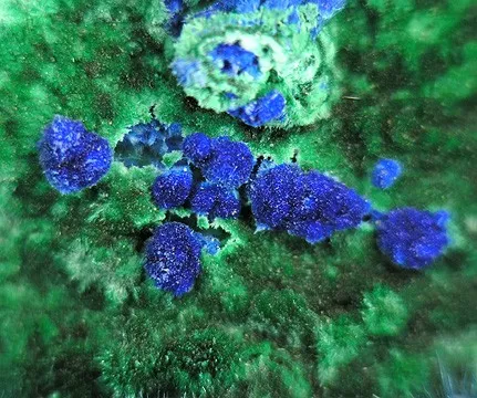 Cyanotrichite - image 4