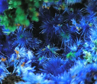 Cyanotrichite - image 6