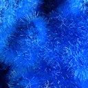 Cyanotrichite - image 2