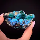 Cyanotrichite and Brochantite - image 1