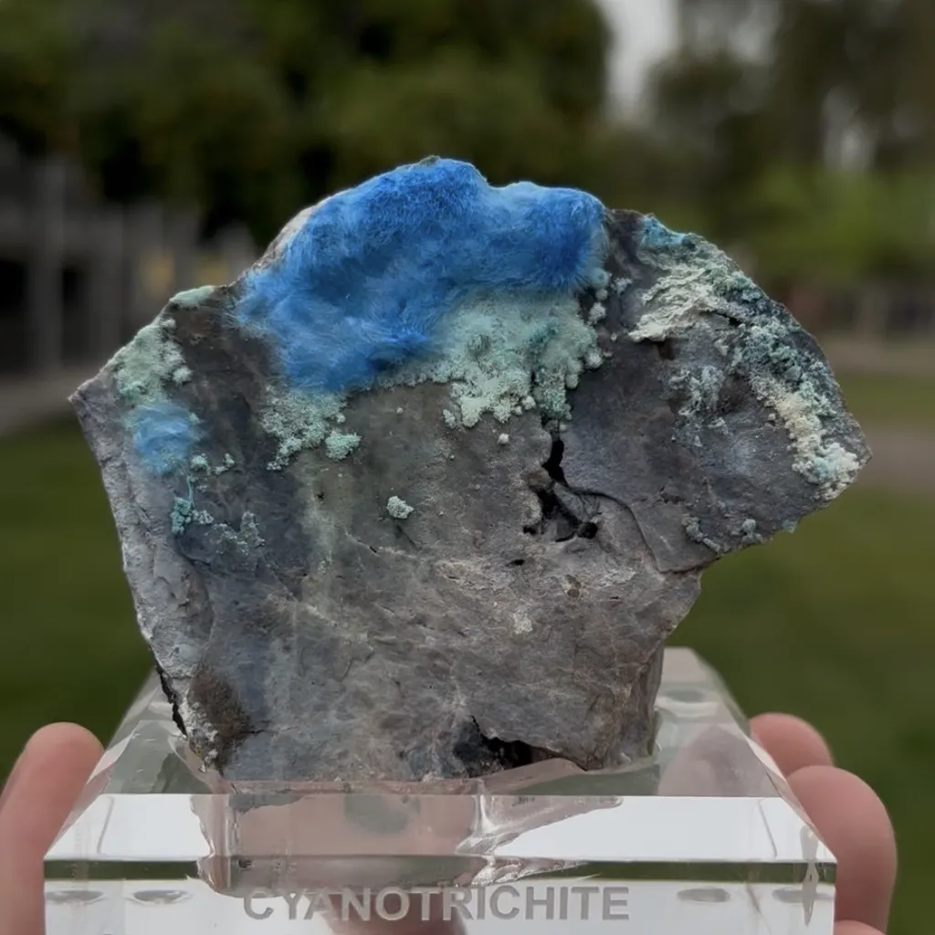 Cyanotrichite image