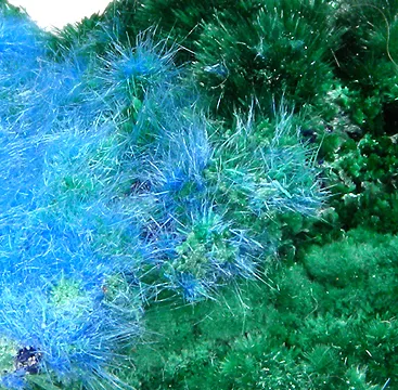 Cyanotrichite, Brochantite, Malachite, Chalcoalumite - image 2