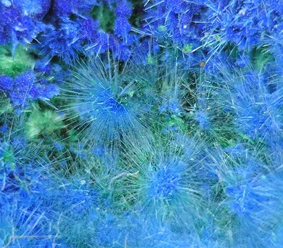 Cyanotrichite - image 3