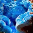 Cyanotrichite - image 4