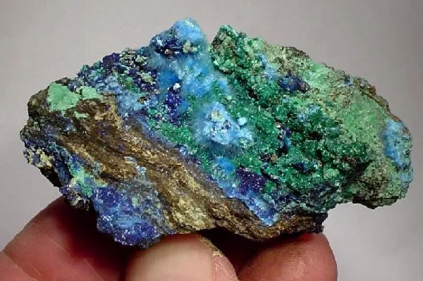 Cyanotrichite, Malachite, Azurite image
