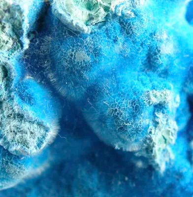 Cyanotrichite, Malachite - image 2