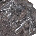 Cylindrite - image 3