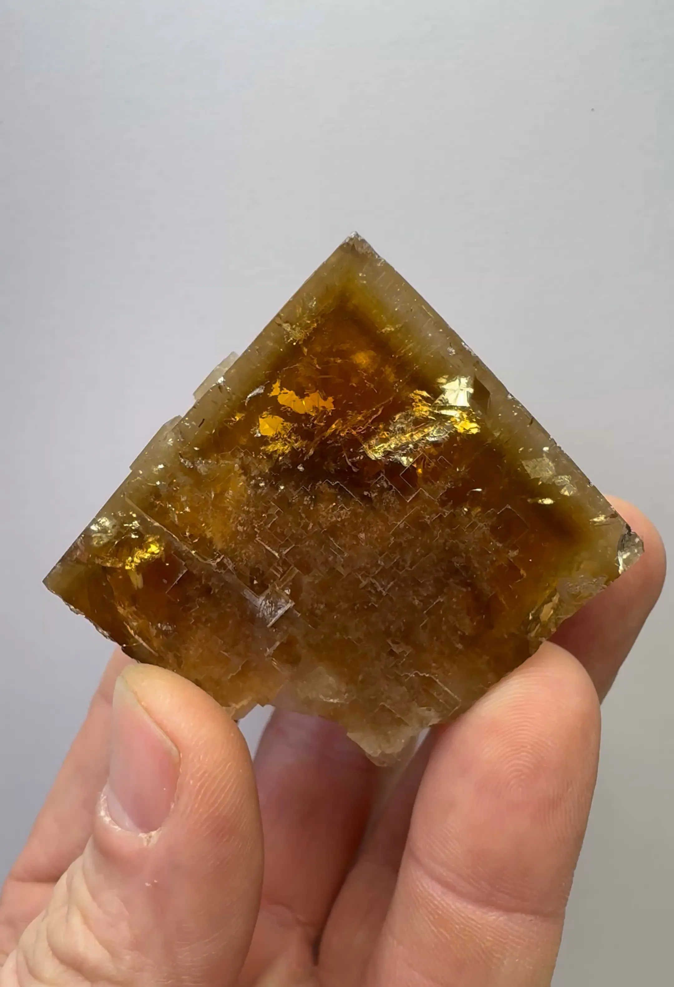 specimen video