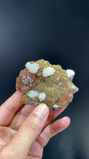 specimen video