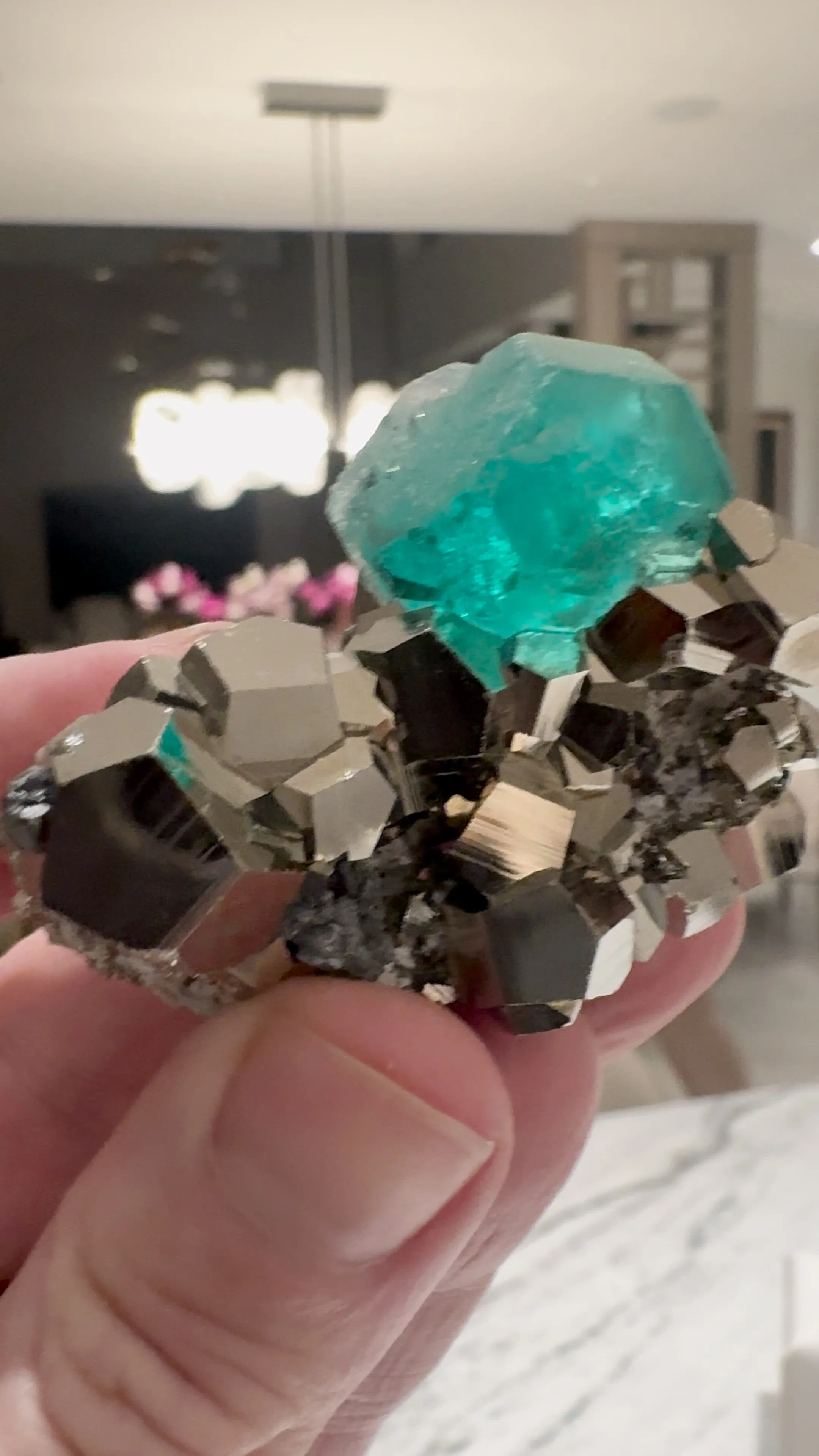 specimen video