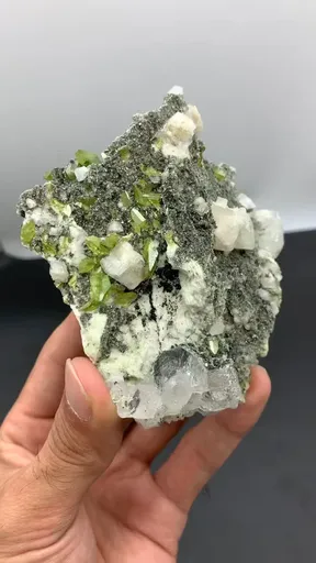 specimen video