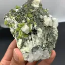 specimen video